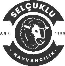 SELÇUKLU BESİ – Ankara Kurbanlık Satışı